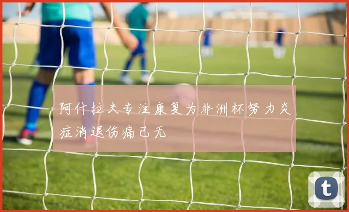 阿什拉夫专注康复为非洲杯努力炎症消退伤痛已无