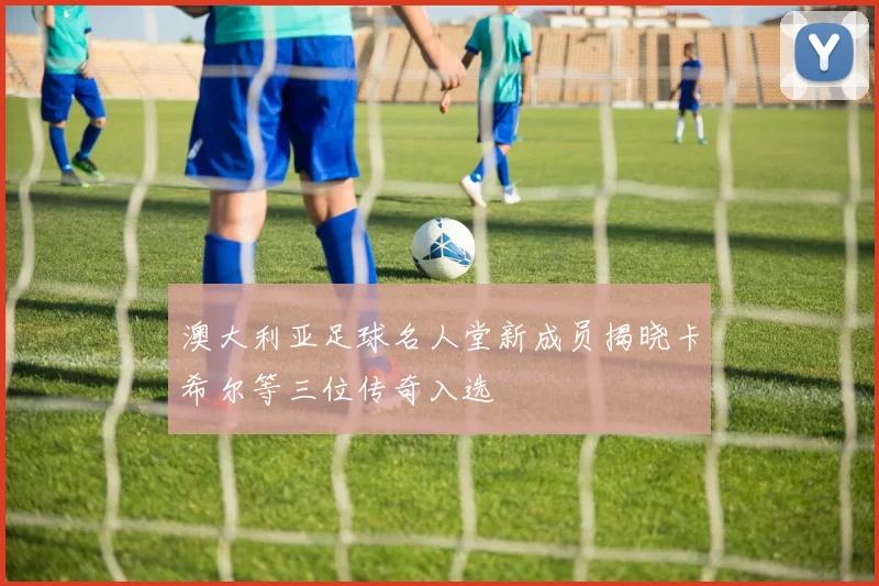 澳大利亚足球名人堂新成员揭晓卡希尔等三位传奇入选